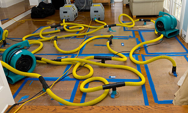 Professional Water Damage Restoration technician working in Hillside, NJ